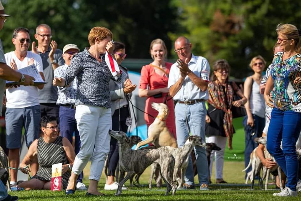 des plaines des Bruyères - 2019, l'année Rua, mais pas que ! 