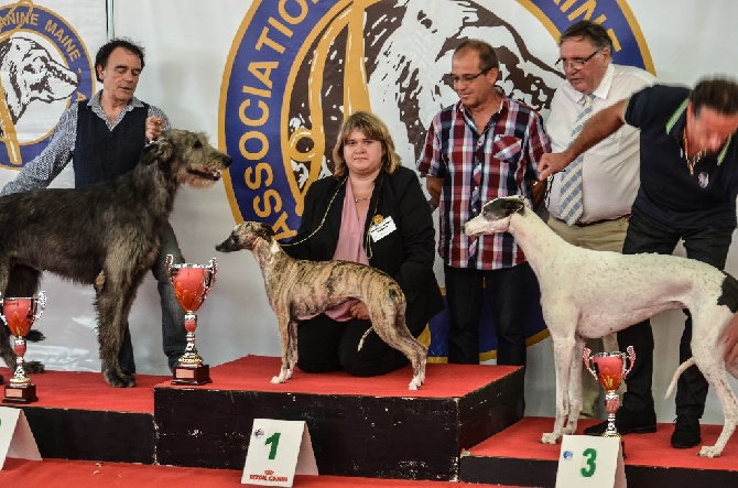 des plaines des Bruyères - De jolis résultats ce week end ! 