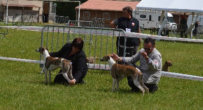 des plaines des Bruyères - 1er CACS pour FEVER