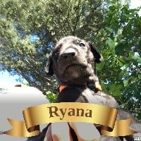 RYANA