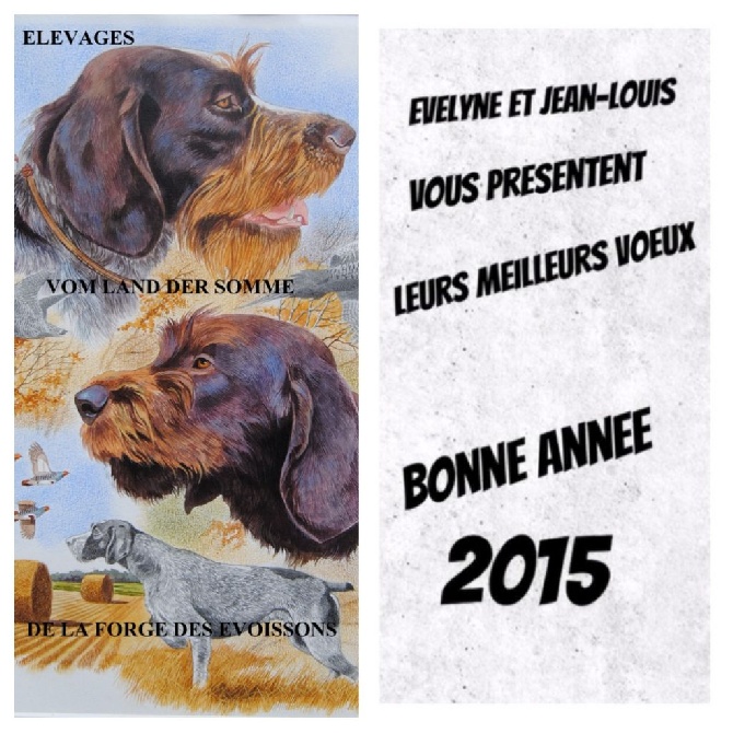 vom land der somme - VOEUX 2015