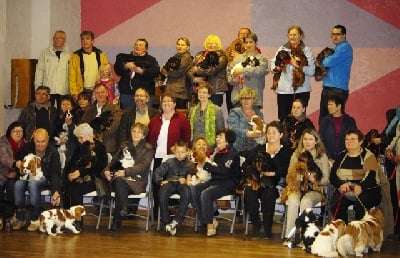 des petits Anges de Sophie - REUNION NORMANDIE