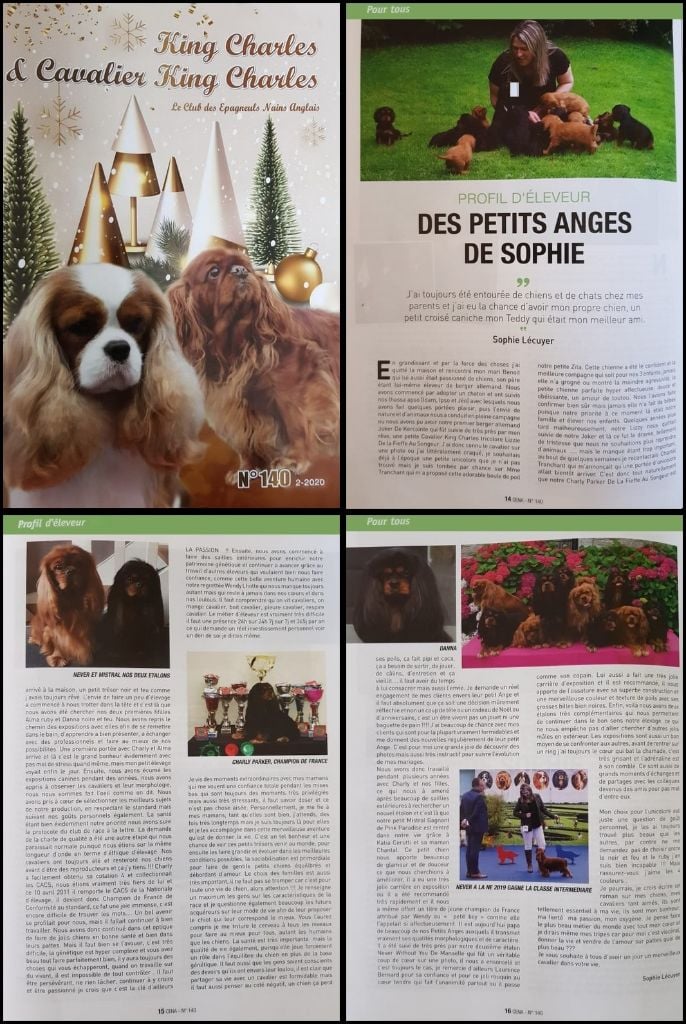 des petits Anges de Sophie - ARTICLE DPADS DANS LE BULLETIN DU CENA