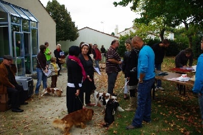 des petits Anges de Sophie - REUNION AMICALE DU CENA PAYS DE LOIRE