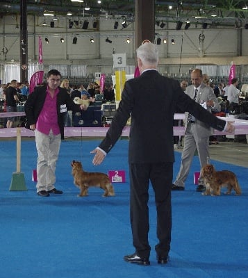 des petits Anges de Sophie - Résultats du Championnat de France 2012 à Metz