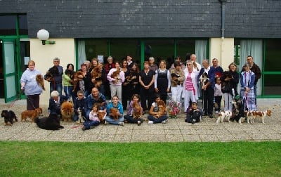 des petits Anges de Sophie - REUNION AMICALE DU CENA BRETAGNE