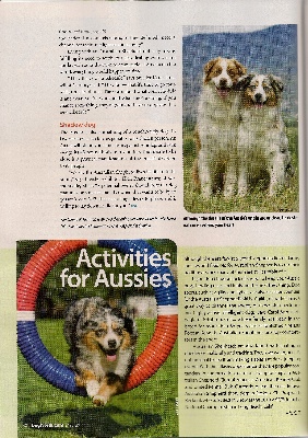 des Tresors du Mont Ventoux - DOG WORLD  magazine étranger