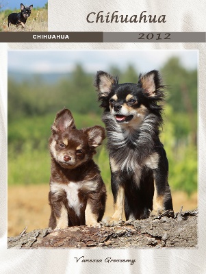 des Tresors du Mont Ventoux - MES CHICHIS SUR LE CALENDRIER 2012