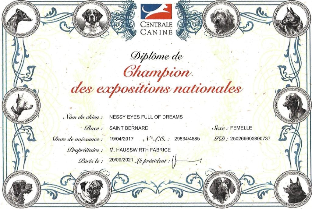 du rocher des Samarry - Champion des Expositions Nationales