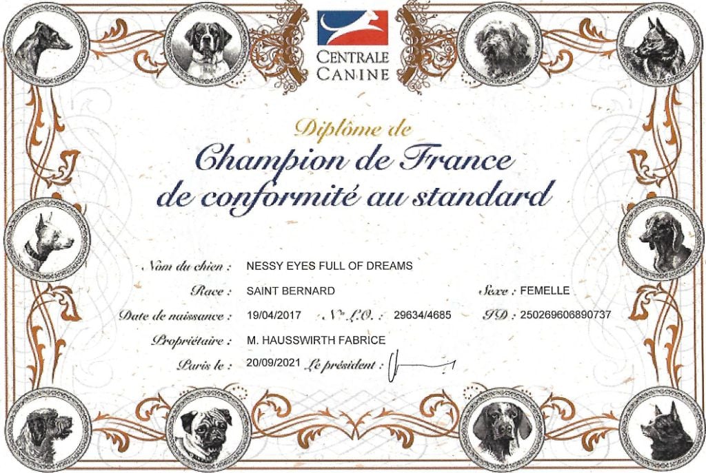 du rocher des Samarry - Champion de France 