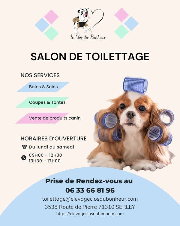 du clos du bonheur - Notre salon de toilettage vous accueille !