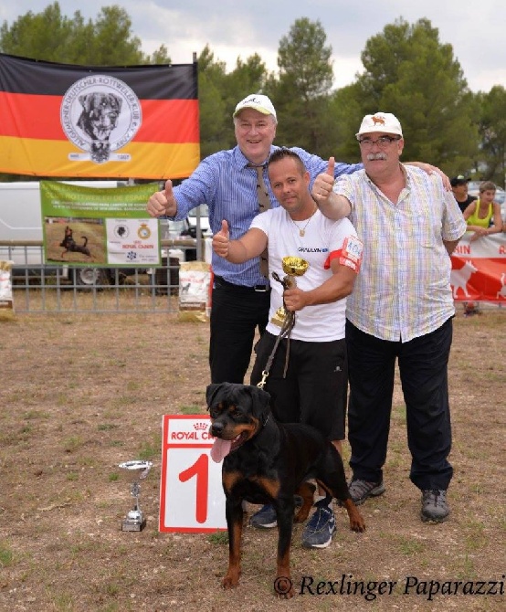 von der wharen kraft - 10/11 SEPTEMBRE CHAMPIONNAT D'ESPAGNE DU ROTTWEILER