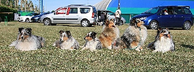 des loups de l'isengard - NATIONALE D'ELEVAGE 2011