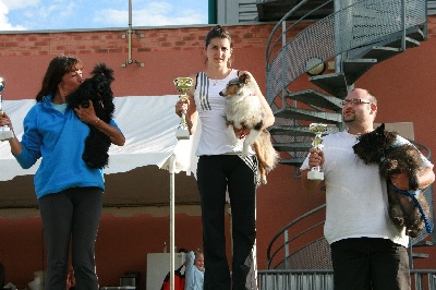 des loups de l'isengard - CHAMPIONNE D'AUVERGNE !!!!!